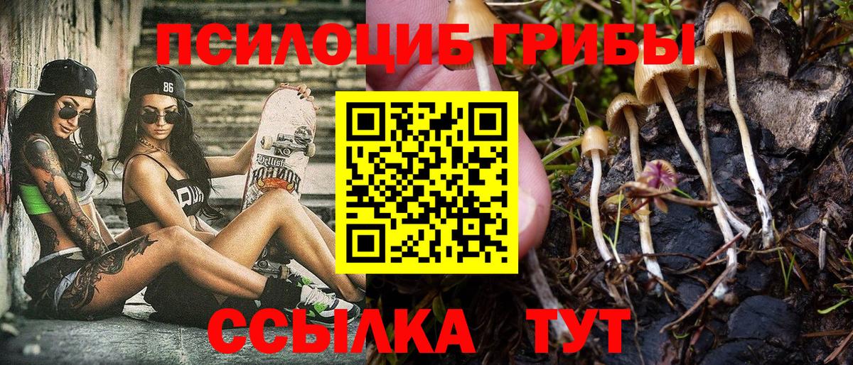 Псилоцибиновые грибы MAGIC MUSHROOMS Зерноград