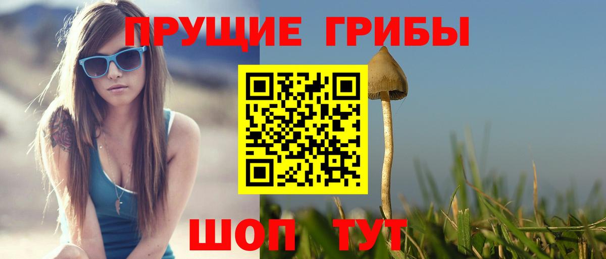 Зерноград  Псилоцибиновые грибы Psilocybe  цены наркотик  Вход с VPN 